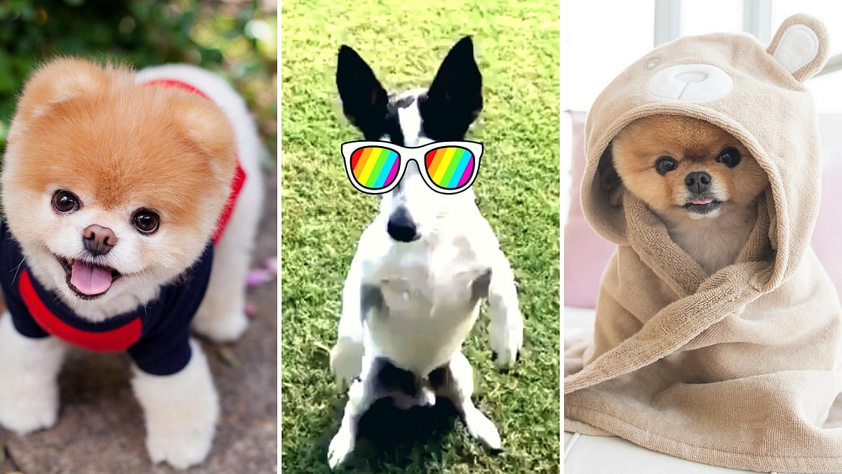 It’s time Pidi Gandhi got his own social media handle!&nbsp;