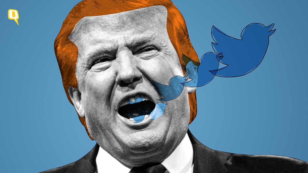 US President Donald Trump has a knack for staying in the news.