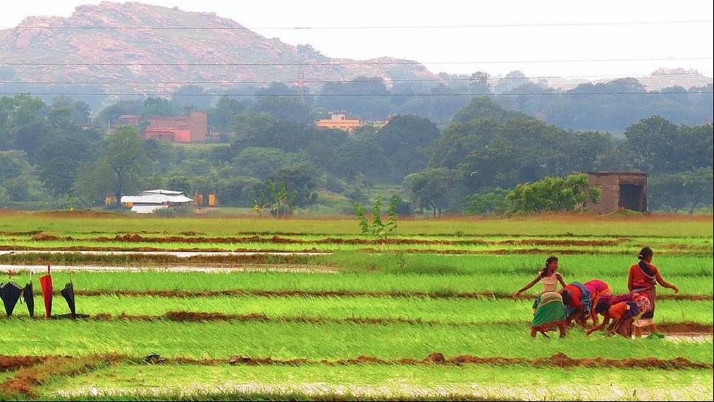A representative image of the Jharkhand tribal community.
