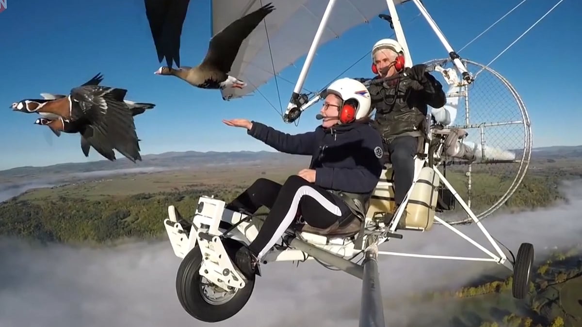 Christen Moullec flying with birds