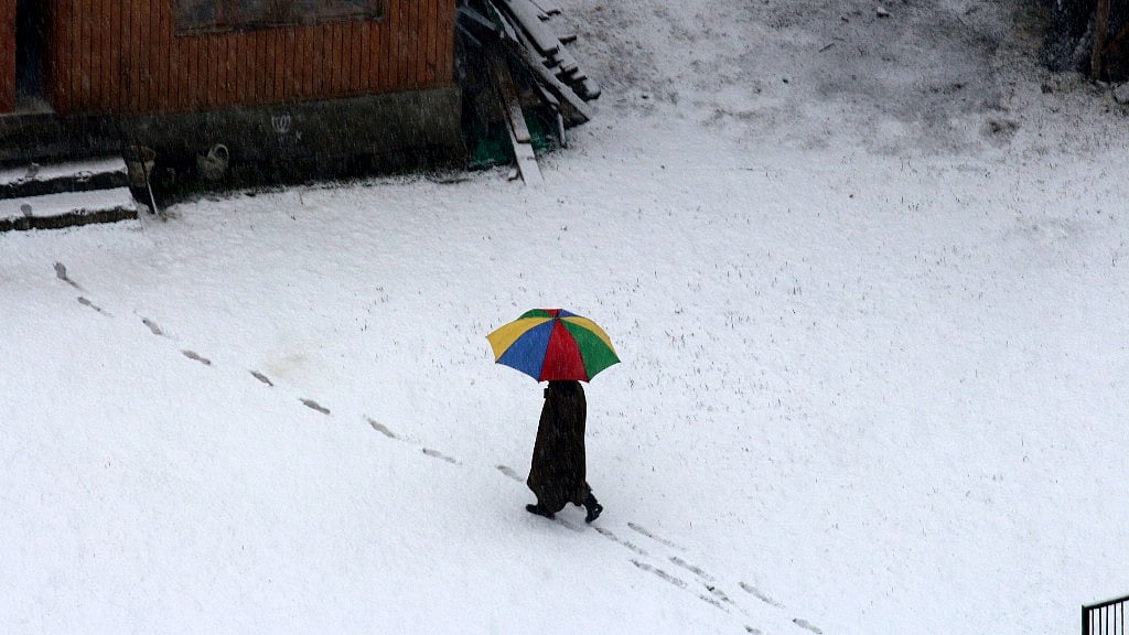 A little colour amongst the white.
