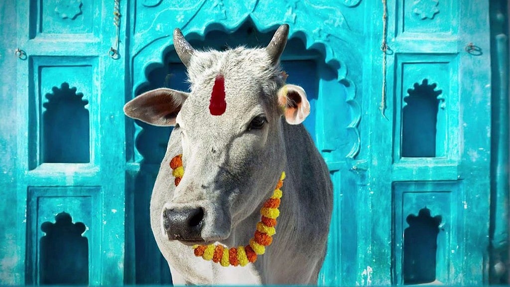 Image used for representational purposes.