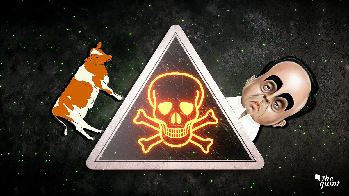 India’s most popular online parody pages are under threat.