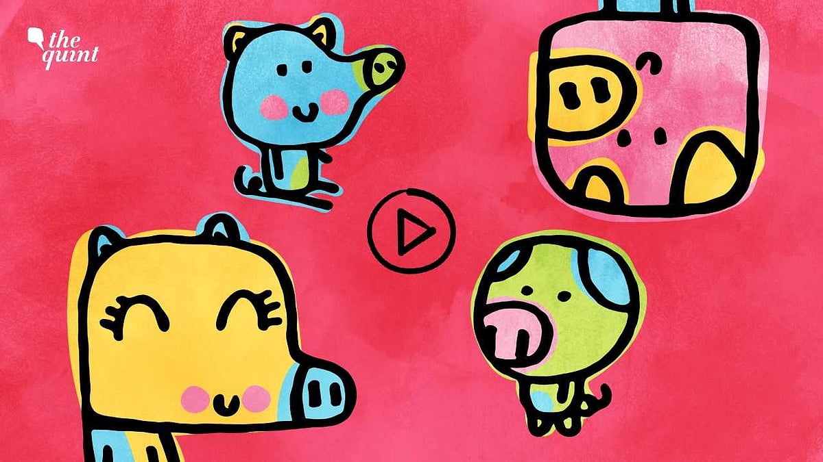 The Quint brings you the cutest videos of 2017.