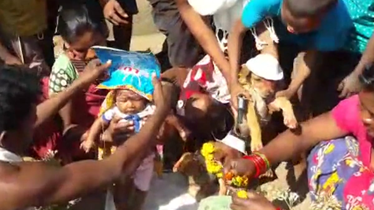 A tribal family ‘married’ their daughter to a puppy in Odisha, India.