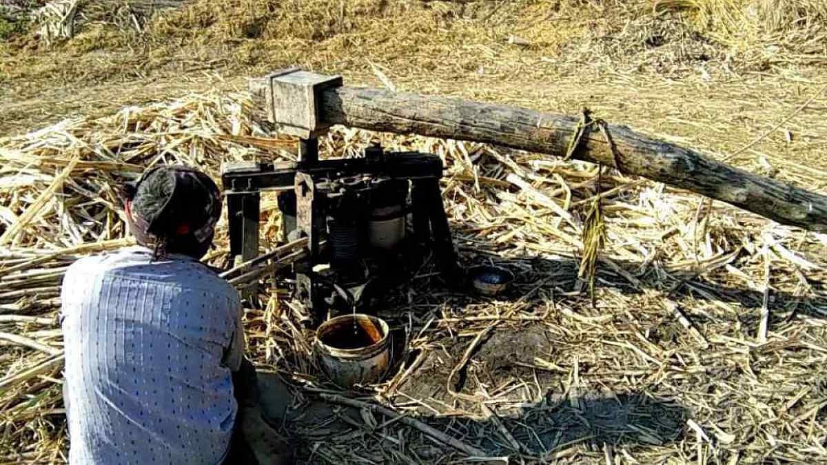 <i>Gur </i>is made after boiling sugarcane juice.