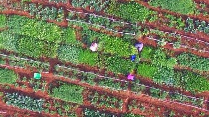Aerial view of one of the farms of Farmizen.&nbsp;