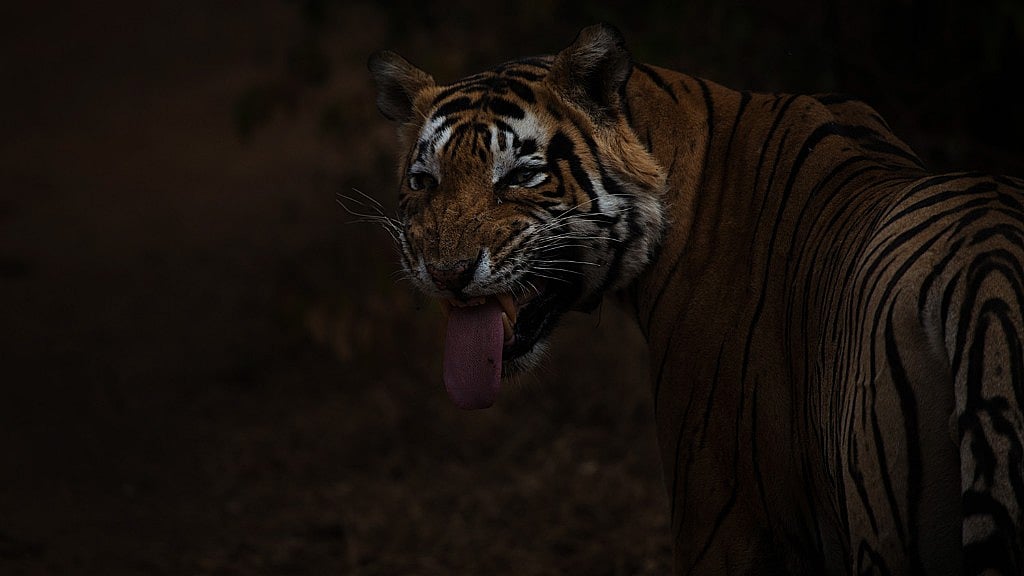 (Photo credit: Ranger Ranger/Nirvair Singh)