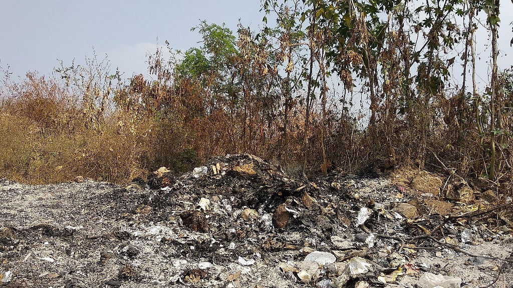 Visitors of Lalbagh Botanical Garden have observed that it has turned into a dump yard of late.