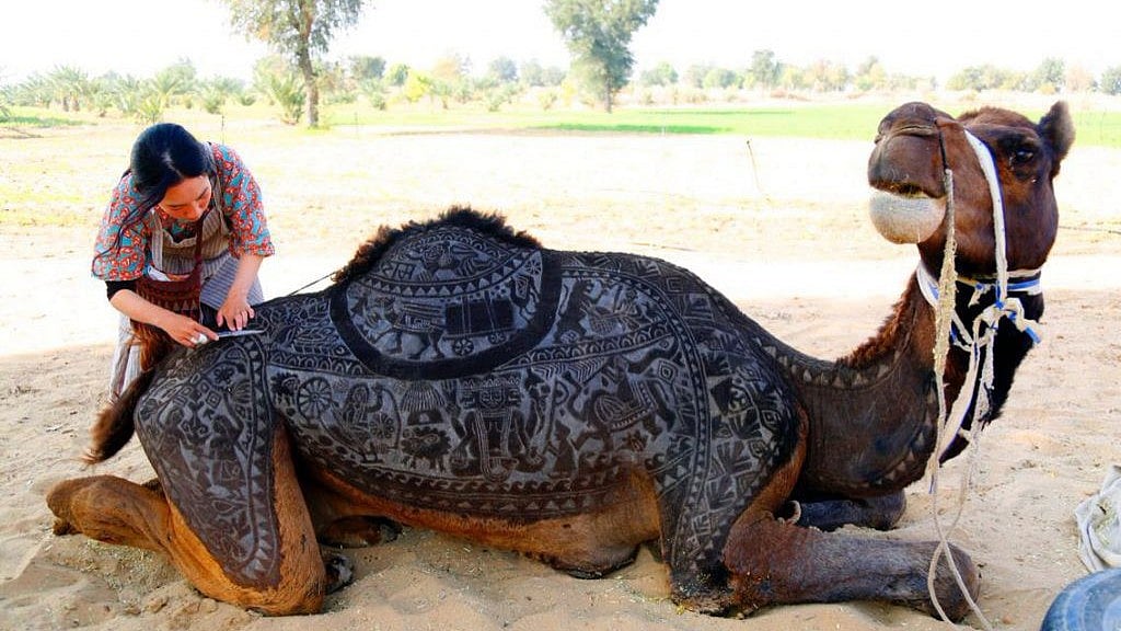 Camel hair art is a popular trend in India, Pakistan and Dubai