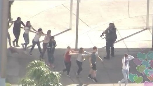 Over 17 people were killed when a gunman, 19-year-old, Nikolas Cruz, opened fire on students at the Marjory Stoneman Douglas High School in Parkland, Florida on 14 February 2018.
