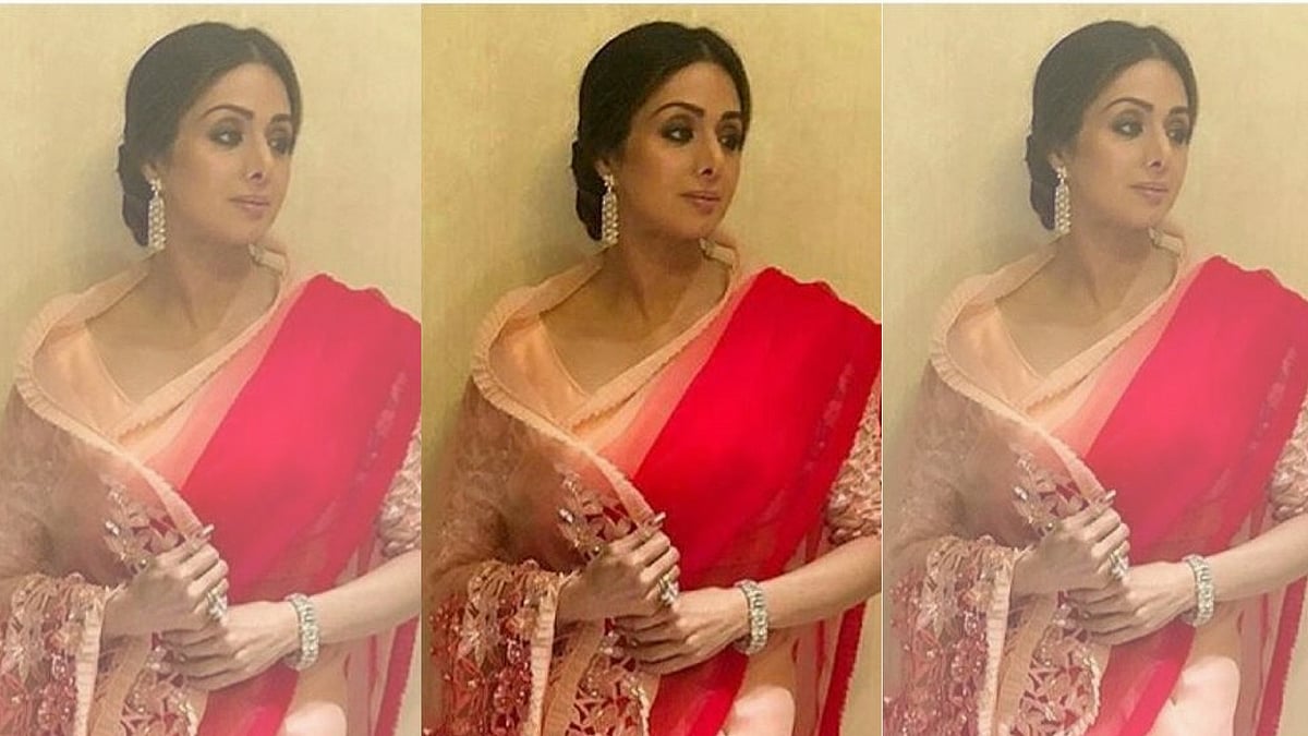 Sridevi passed away in Dubai in February.&nbsp;