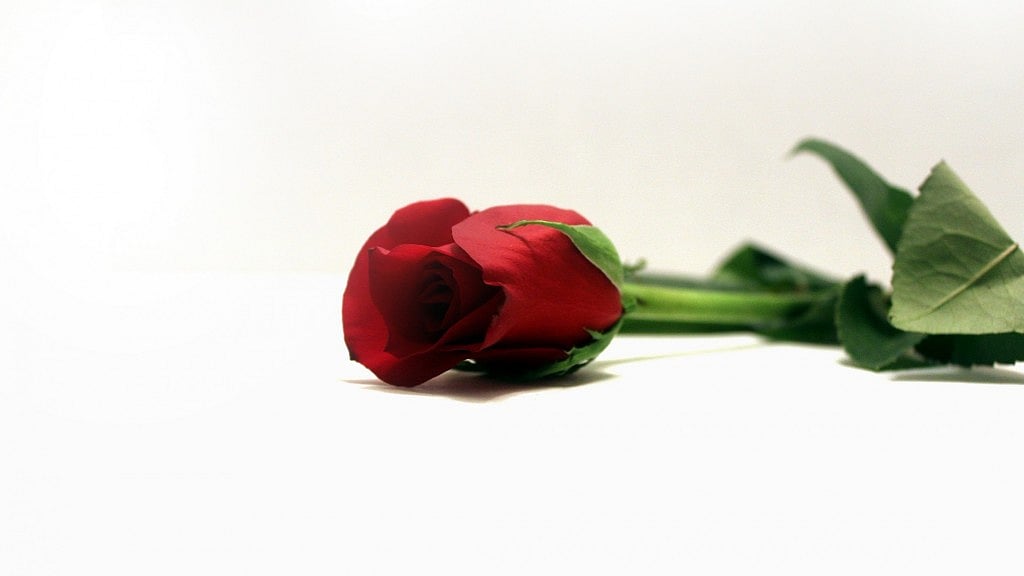 Image used for representational purposes
