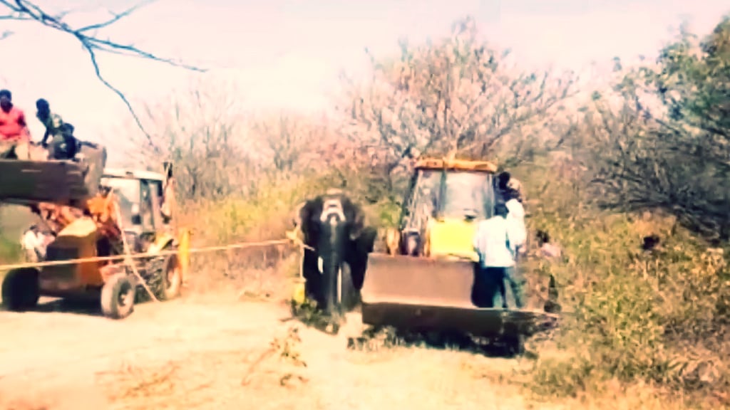 Non-lethal darts were fired to tranquilise the elephant.
