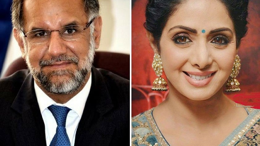 Navdeep Suri, the Indian Ambassador to the United Arab Emirates, and actor Sridevi.