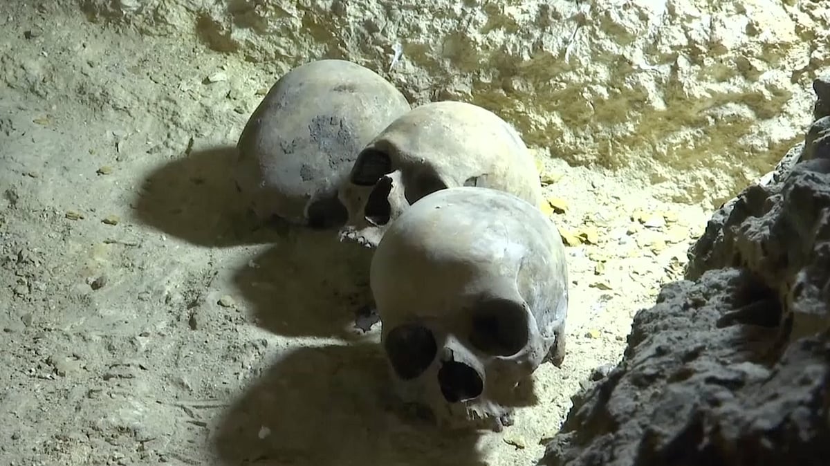 An ancient necropolis has been recently discovered in Cairo.