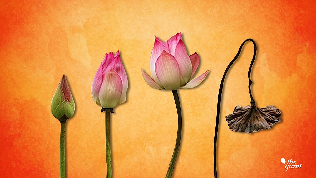 Image used for representational purposes. 