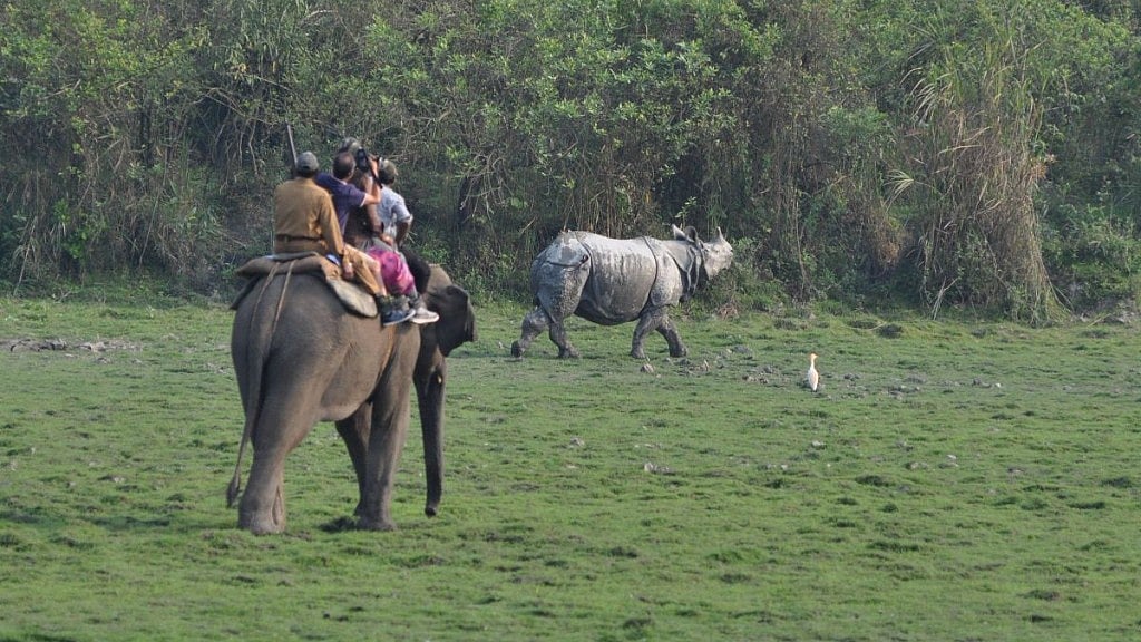 Indian authorities are conducting a two-day census of its rhino population at the Kaziranga National Park. 