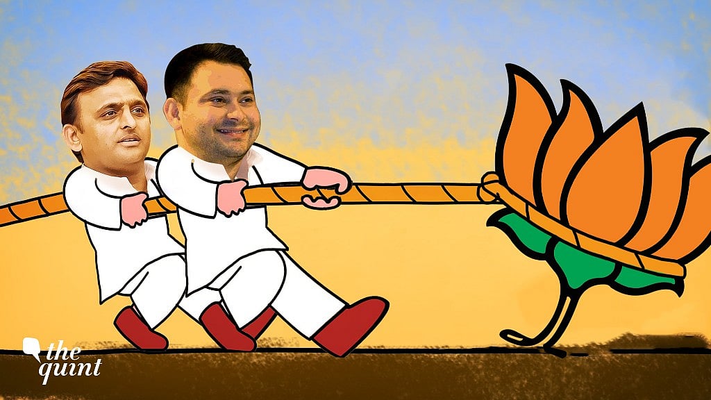 Two young turks Akhilesh and Tejashwi handed over big blows to BJP in the recently concluded bypolls in UP & Bihar.