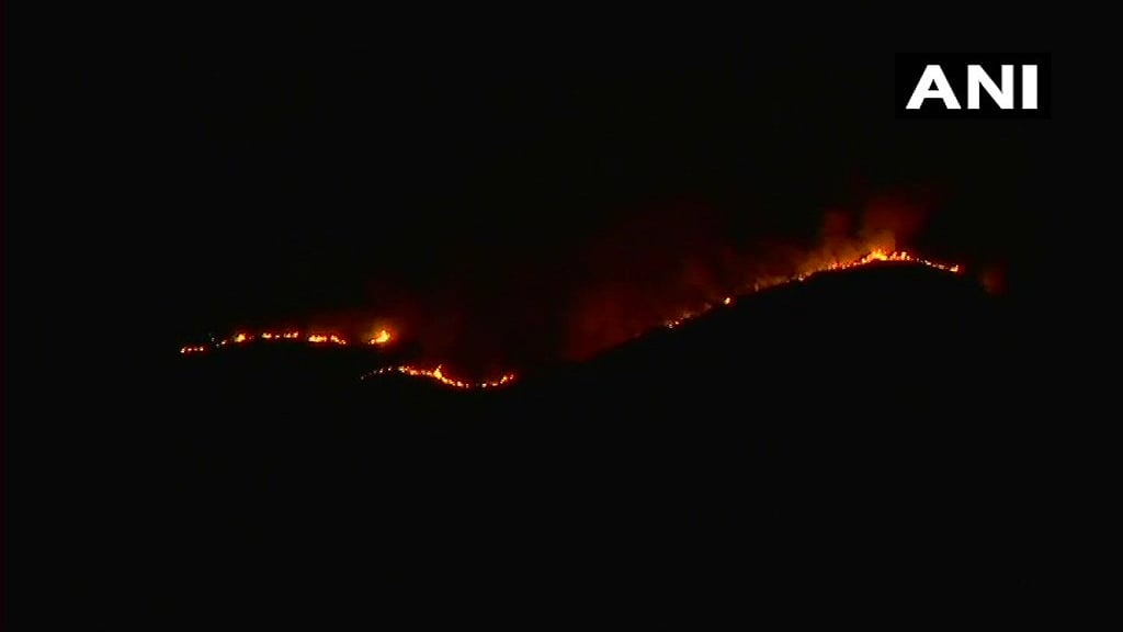 Visuals of the forest fire that broke out in Tamil Nadu.&nbsp;