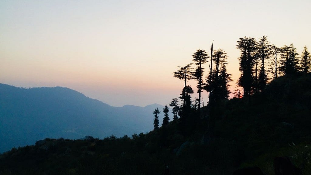 The sun rises in the Kothkai forest.