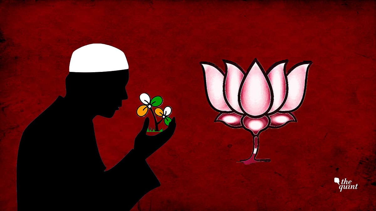 Image used for representational purposes.