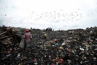 Earth -- our home -- is a truly magnificent place. Around 8.7 million species have lived and evolved on this planet over and across time immemorial. It is a purely vibrant place we inhabit -- and it is in grave danger. (Xinhua/Lana/IANS)