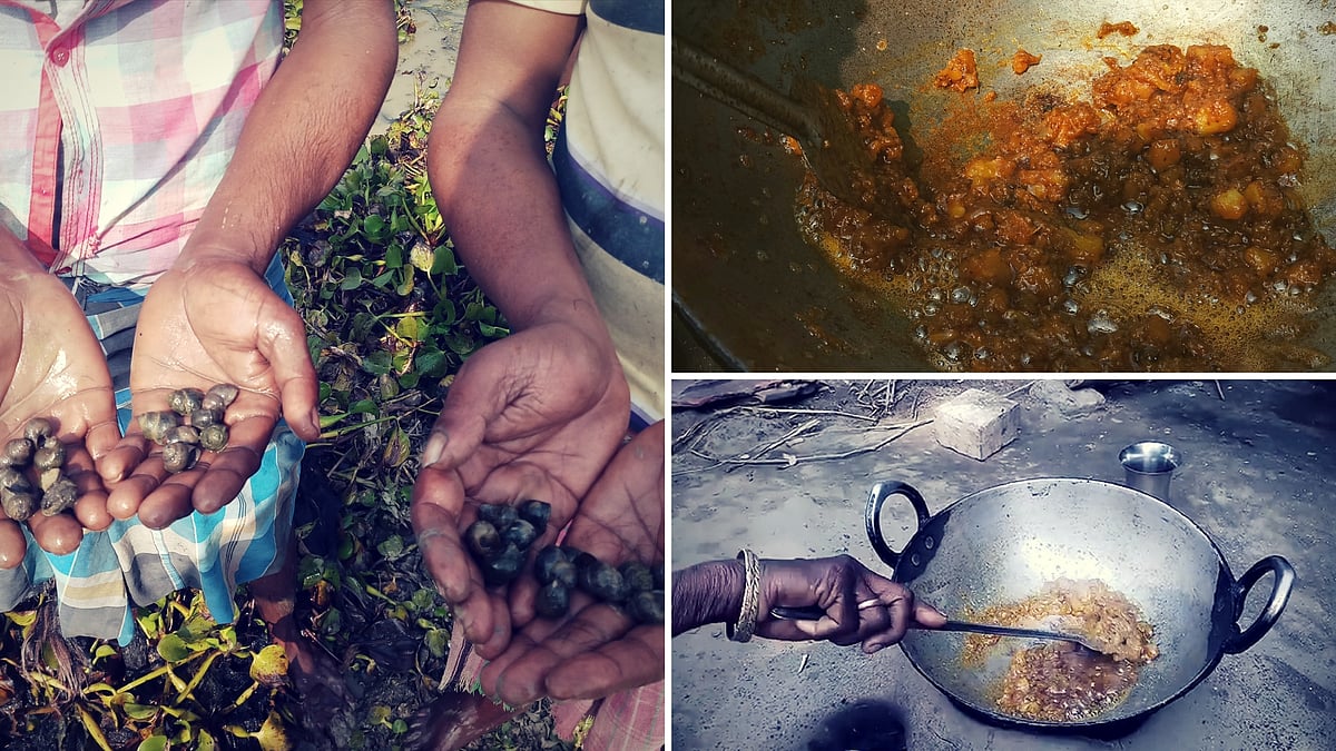 Googli is widely considered unpalatable for communities in urban localities.