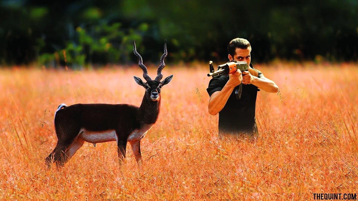Salman Khan gets jailed for 5 years over Blackbuck poaching case