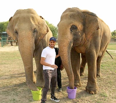 Mathura: Actor Sidharth Malhotra with elephants at the Elephant Conservation and Care Center in Mathura on April 16, 2018. (Photo: IANS)