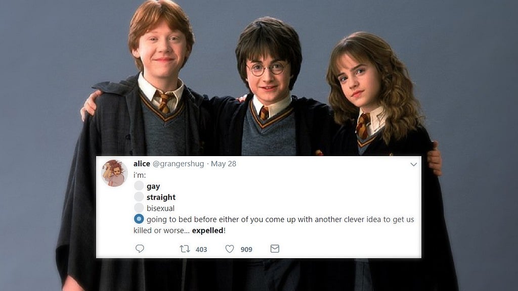 Sexuality poll meme has taken Twitter by storm.