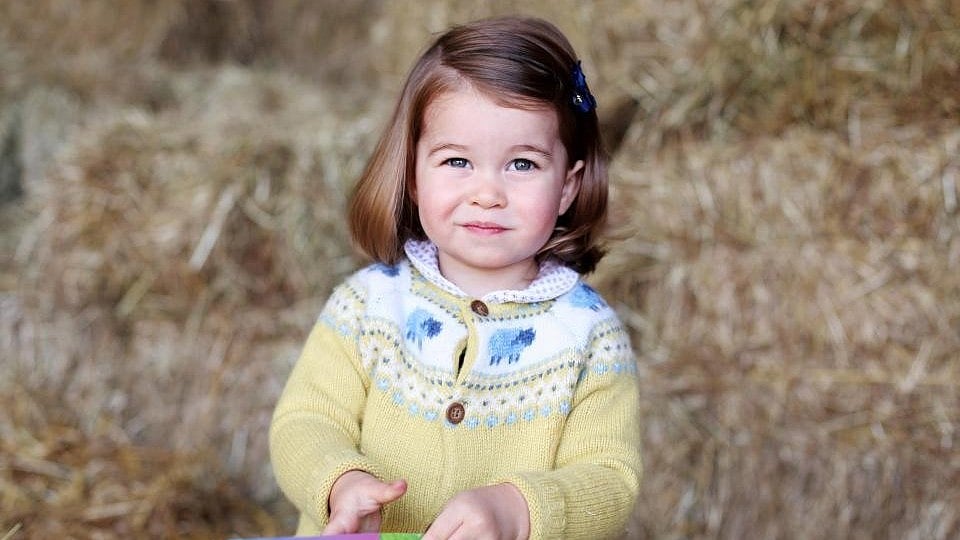 Princess Charlotte just before her second birthday, picture taken by the Duchess of Cambridge.