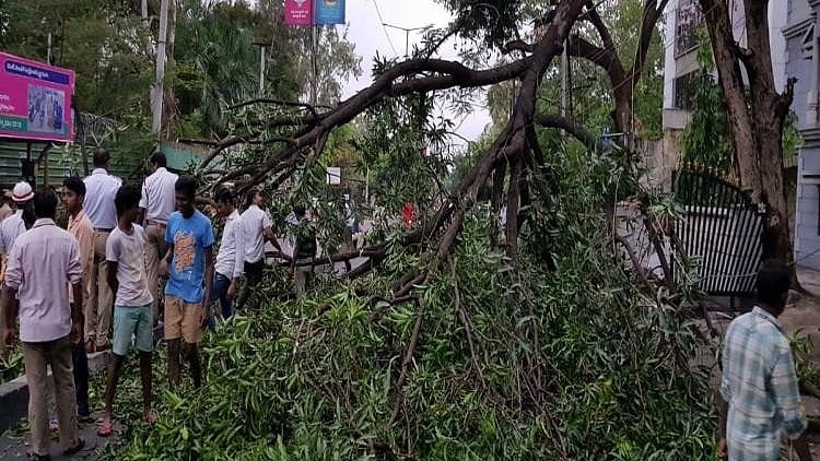 Unseasonal rains provide relief but also wreak havoc uprooting several trees and electric poles. 