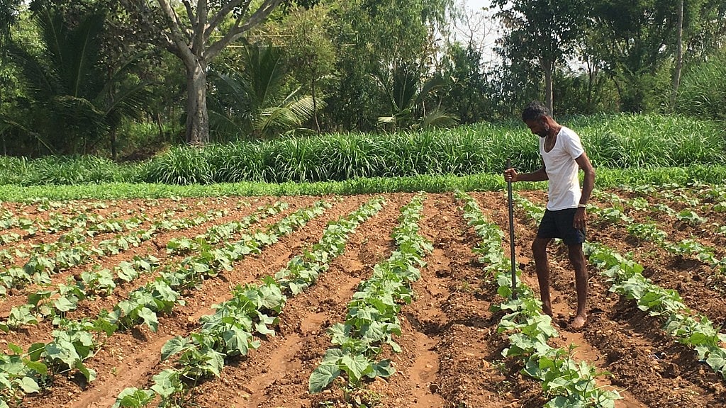 Agriculture is an integral part of Karnataka but a number of issues have crippled farmers over the last few years.