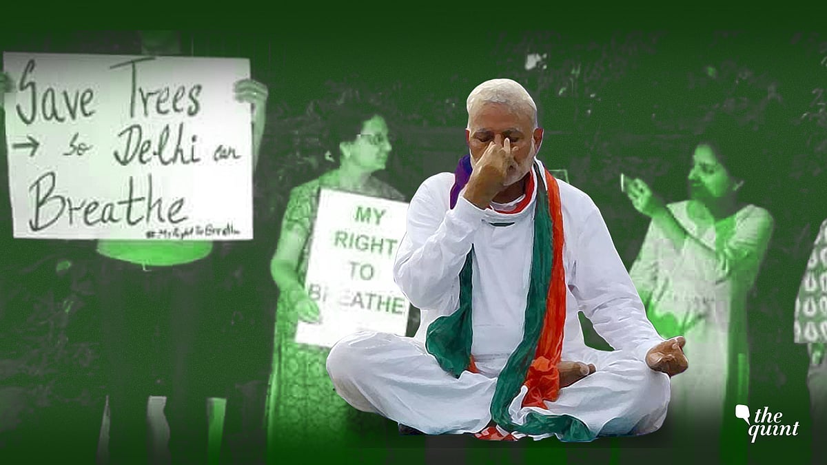 (Photo: Altered By The Quint)