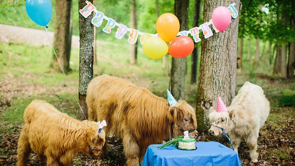 James celebrates his first birthday with his friends.