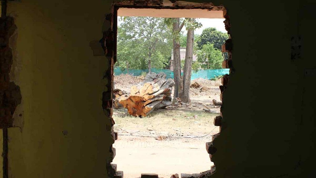 Around 14,031 trees were expected to be chopped down as part of the NBCC project.
