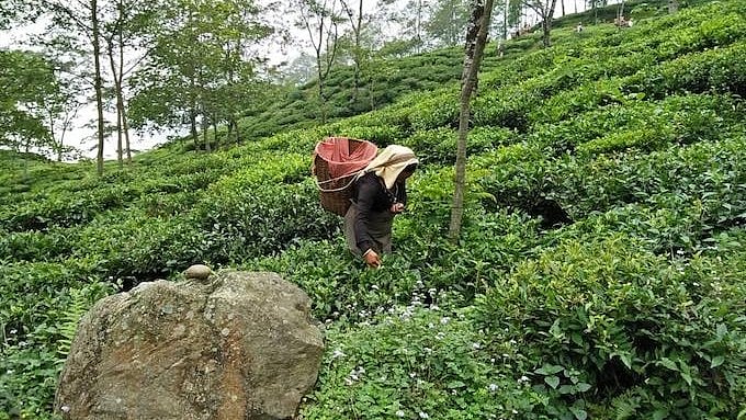 The hotels in West Bengal's hill town of Darjeeling have decided to roll back their decision to remain shut after a meeting between the hotel association and the Gorkhaland Territorial Administration (GTA) on Monday, 8 June.