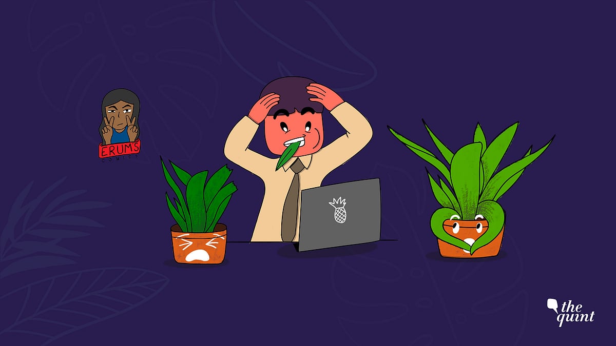 I think it’s time that we stopped ignoring our precious office plants.