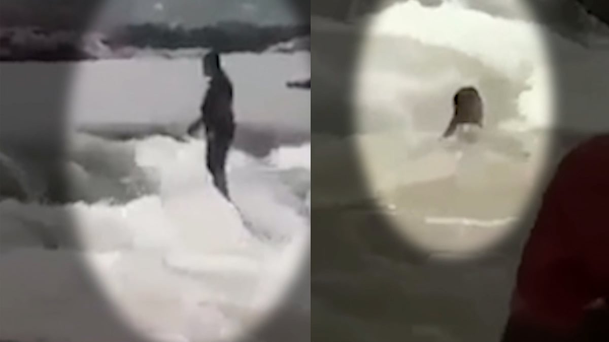 Mysore scientist drowns in Kaveri as rescue operations fail to save him.