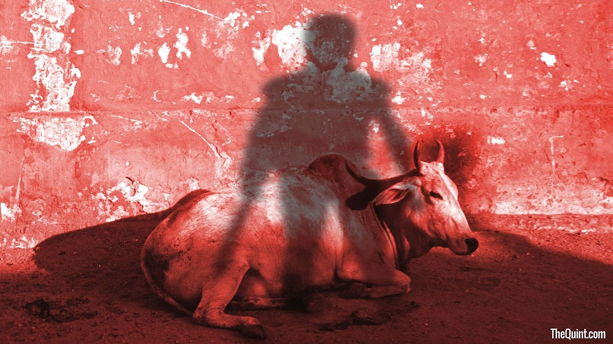 Rakbar Khan was lynched on suspicion of smuggling cattle.