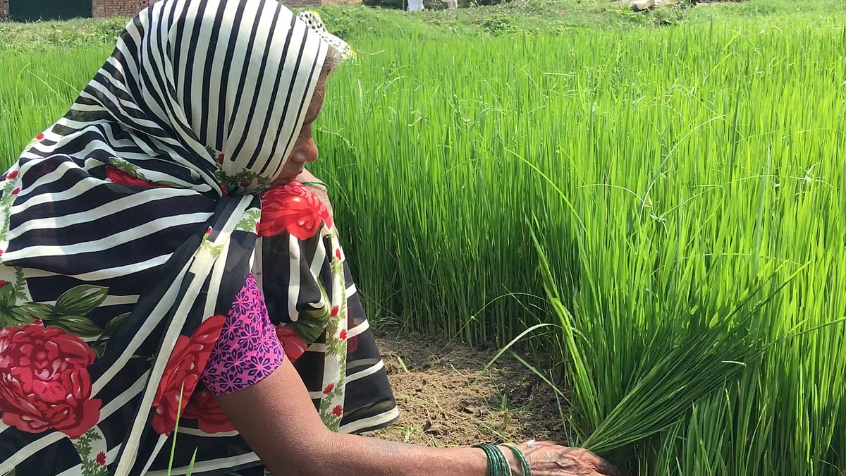 Farmers claim that they will not benefit from the hike in MSP