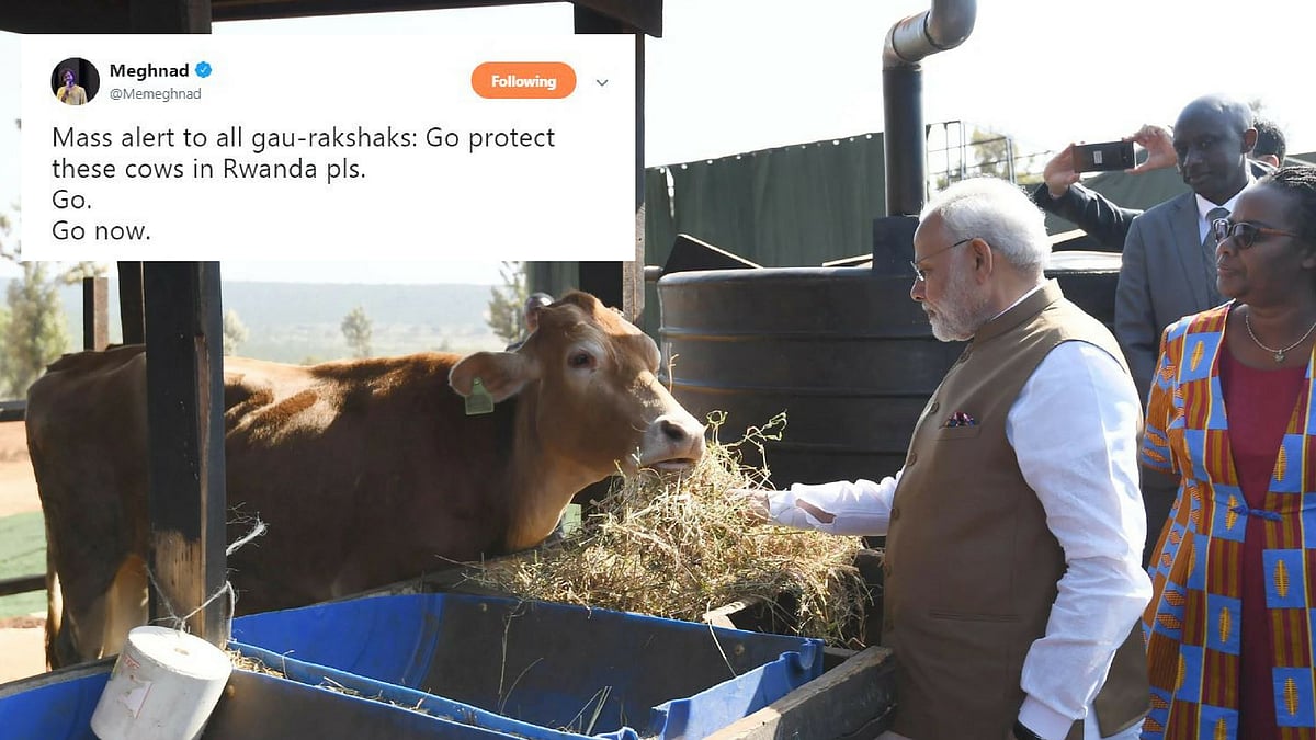 (Photo: PTI/Altered by The Quint)