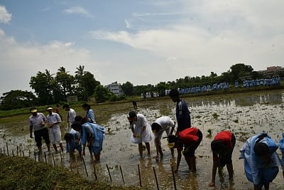 An unusually long dry spell is giving sleepless nights to Awadhesh Prasad and Mahesh Yadav, paddy farmers of Lakhsimpur Arai village under Saraiya block in Muzaffarpur district. The paddy saplings are barely alive, and at stake is Awadhesh