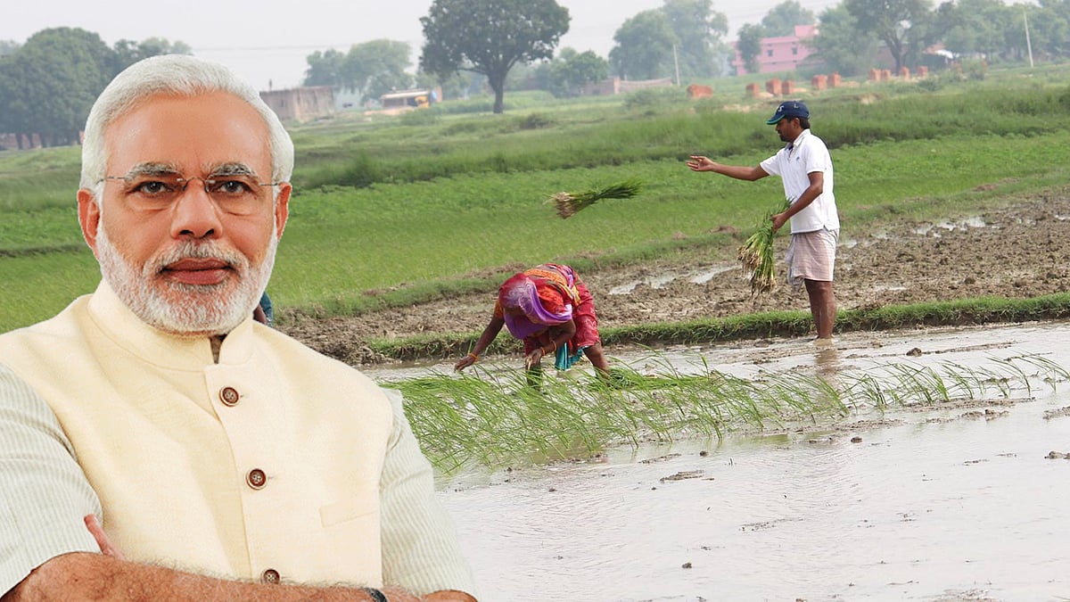 The big question is – are farmers going to get the benefits of such an “unprecedented hike”
