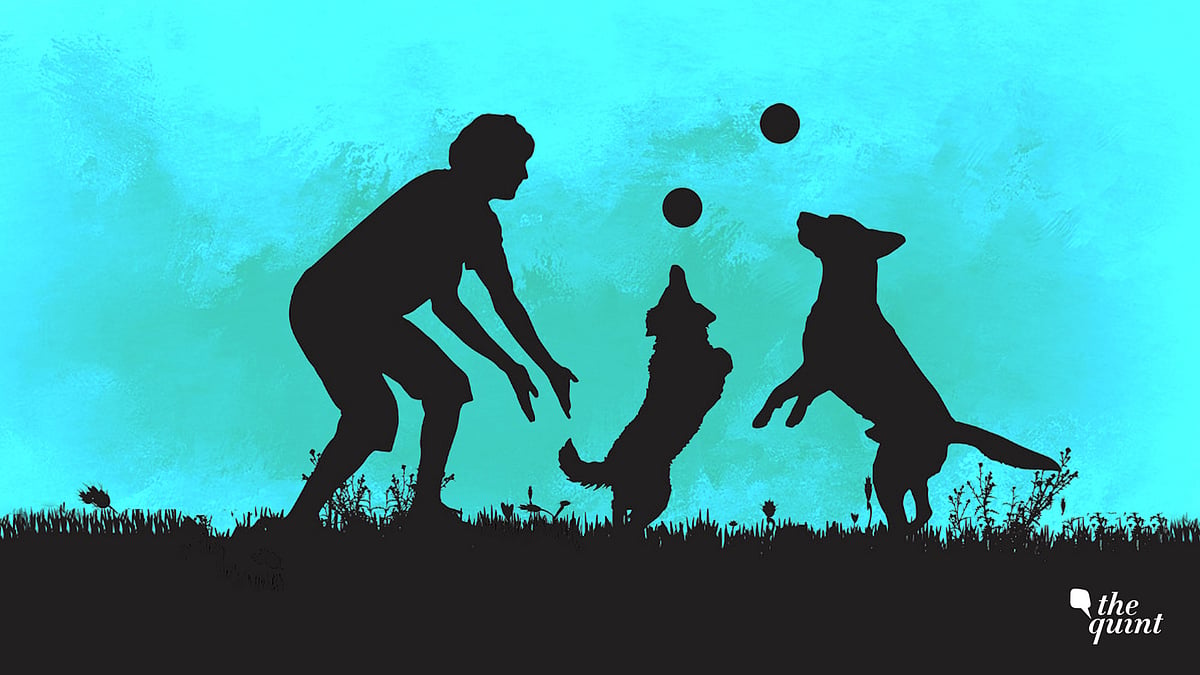 The judgment continues the trend of the Uttarakhand High Court to declare legal personhood to non-traditional persons.