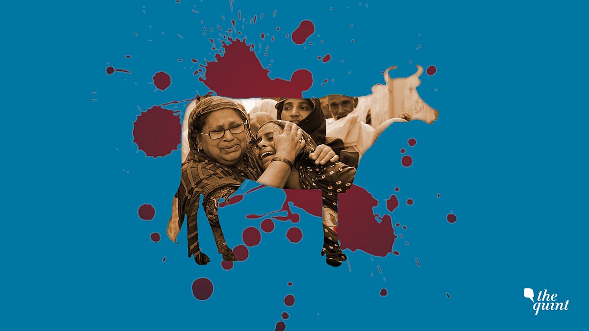 Image of family of Dadri mob lynching victim used for representational purposes.