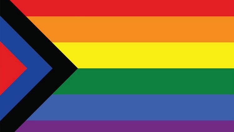 The flag released on 7 July incorporated the Ambedkarite blue and Dravidian black, in addition to red.