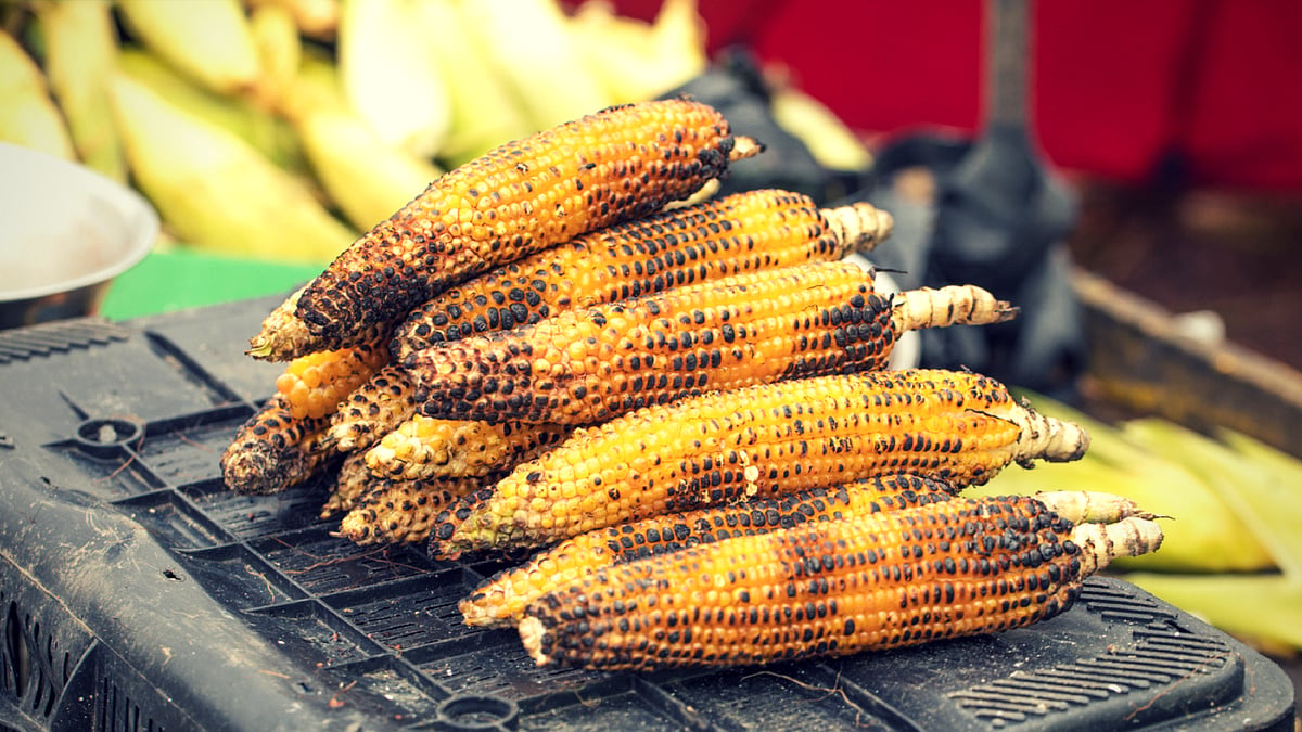 A deep inhale tells me the season of bhutta has arrived.