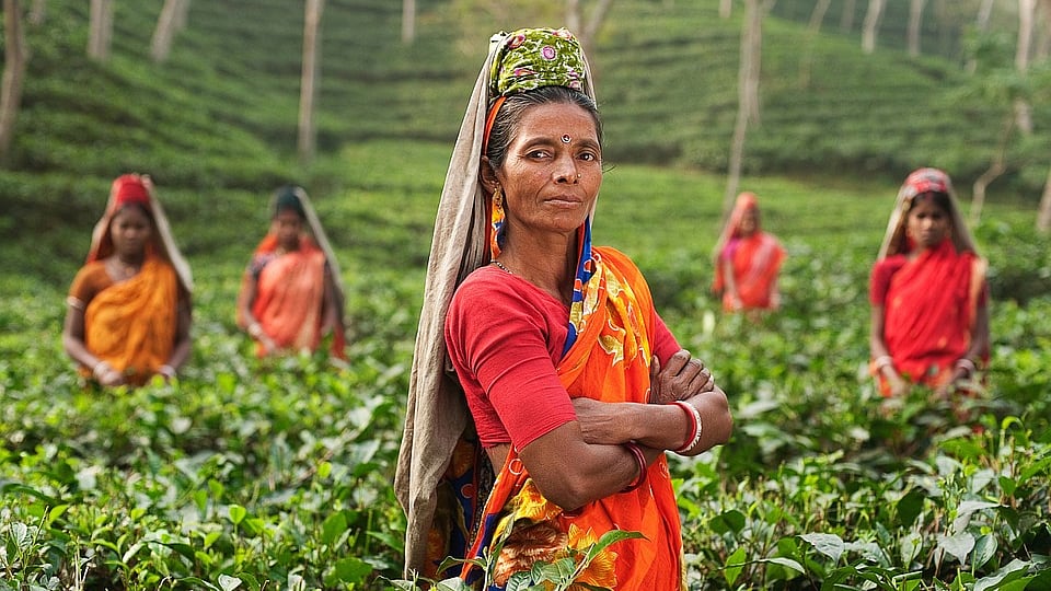 Low pay and wage inequality persist in India, plaguing daily wage workers. 